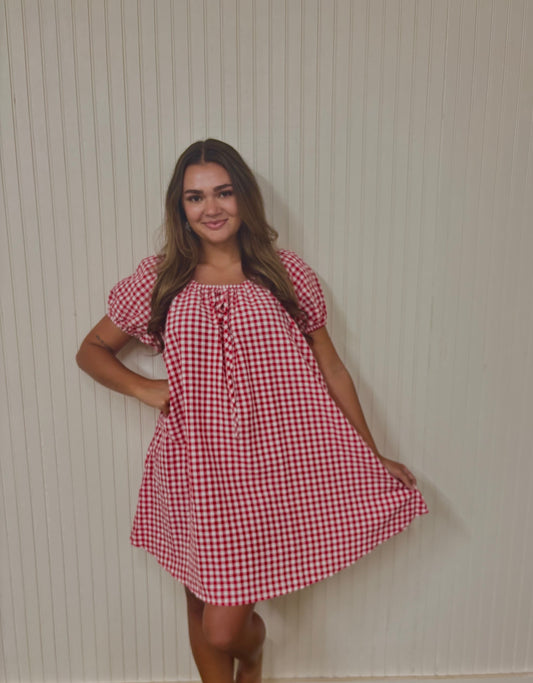 Gingham Garden Party Babydoll Dress